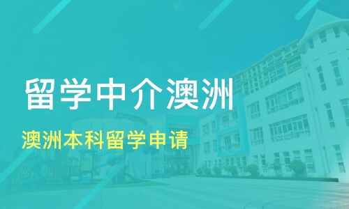 深圳鹽田區出國留學培訓班選擇指南 從課程排名到中介推薦